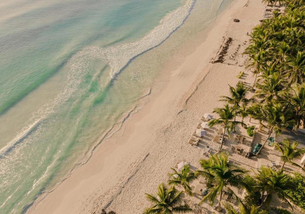 Zona Hotelera Hotel | Chiringuito Tulum