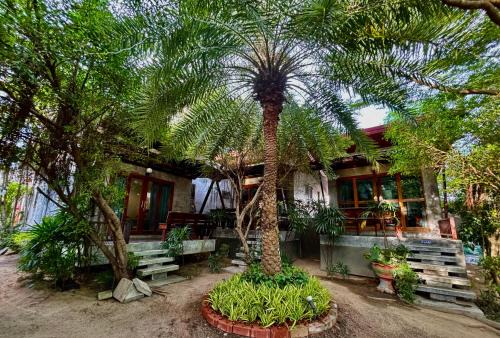 Ko Pha-ngan Hotel | Chook Dee Resort phangan palm beach