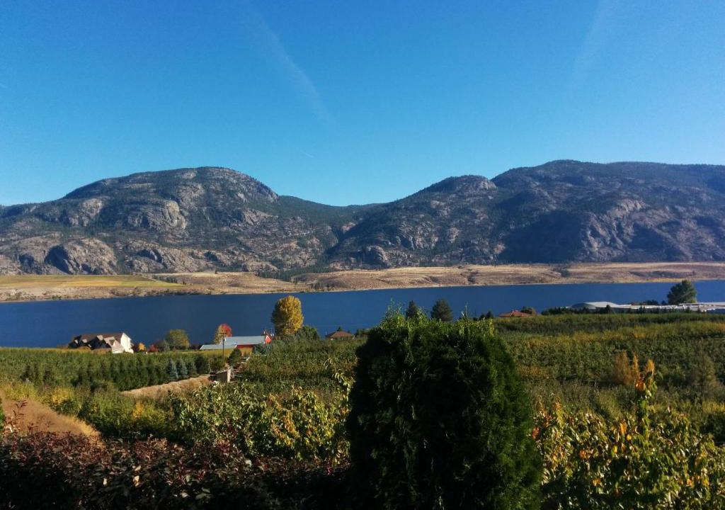Osoyoos Apartment | Ciliegia Villa