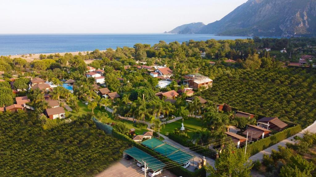 Cirali Hotel | Cirali Hera Hotel & Spa