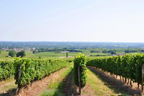 Saint-Pierre-d'Aurillac House | CLOS SAINT SAUVEUR - guesthouse au coeur des vignes sur le coteau