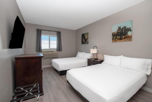 Innisfail Hotel | Coast Innisfail Hotel