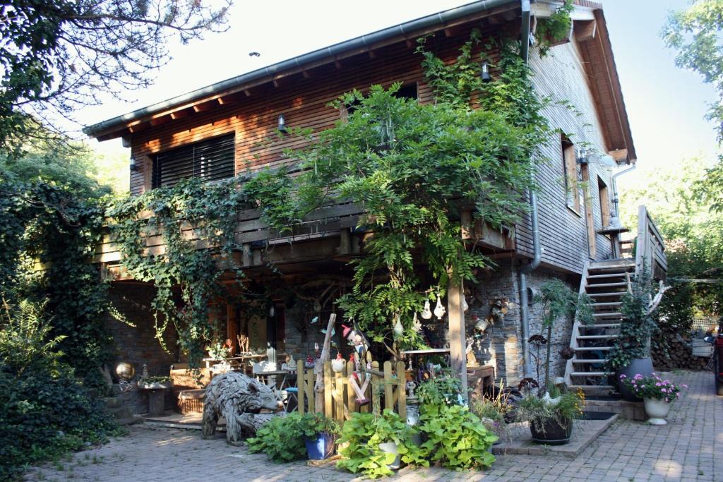 Bischoffsheim Bed & Breakfast | Cocon d'Argile