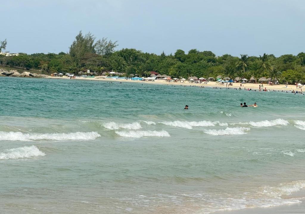 Playa Bibijagua Apartment | Coconut beach