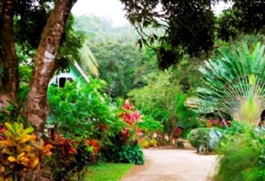 Marigot House | Coffeeriver Cottages