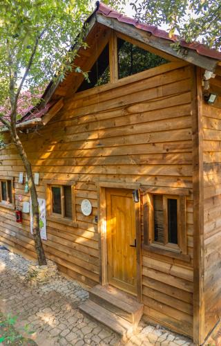 Pinal de Amoles Ski Chalet | Colibri - Cabañas Puerto del Zopilote