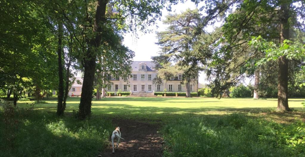 Cande-sur-Beuvron Bed & Breakfast | COLIVAULT