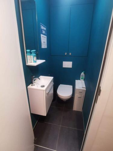 Meilemeers House | collocation en metro erasme