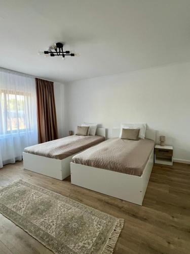 Curatele Apartment | Colt de Apuseni
