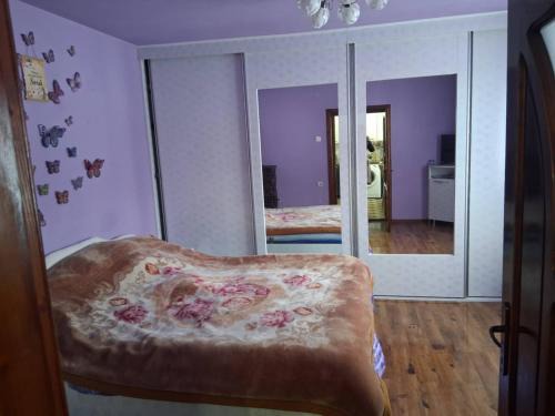 Ciuruleasa House | Colt de rai