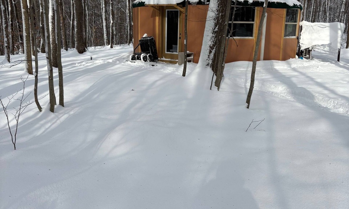 Truxton Cabin | Come visit our magical yurt. Nestled in the woods.