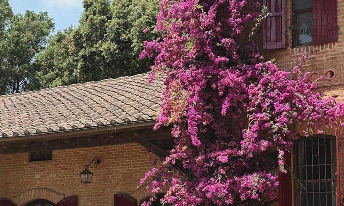 Grosseto House | Comet House