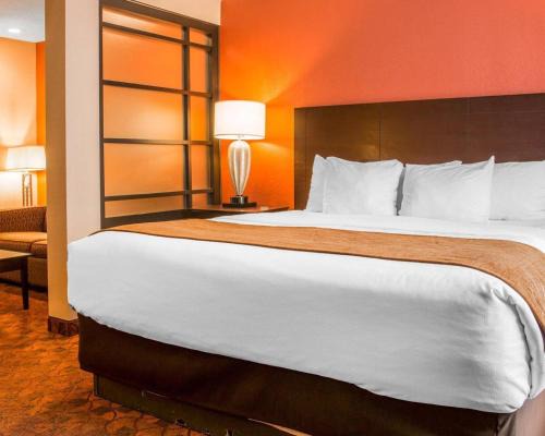 Mount Pleasant Hotel | Comfort Inn & Suites and Conference Center