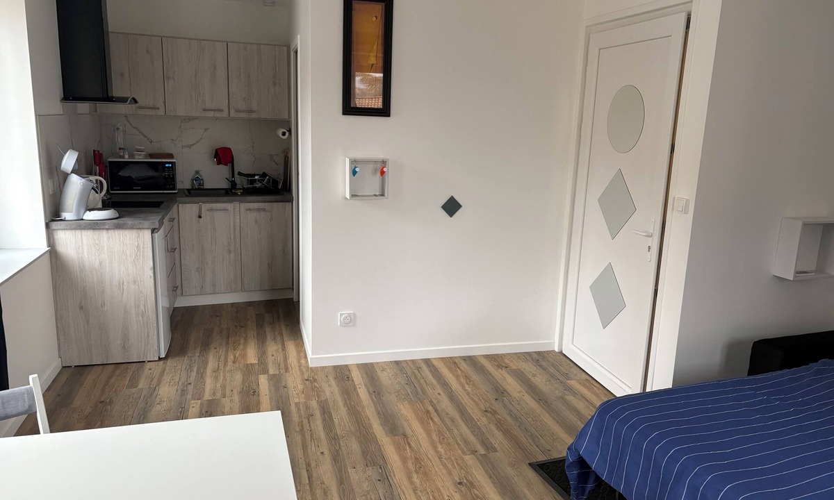 Saint-Just-en-Chevalet Apartment | Comfortable studio,
