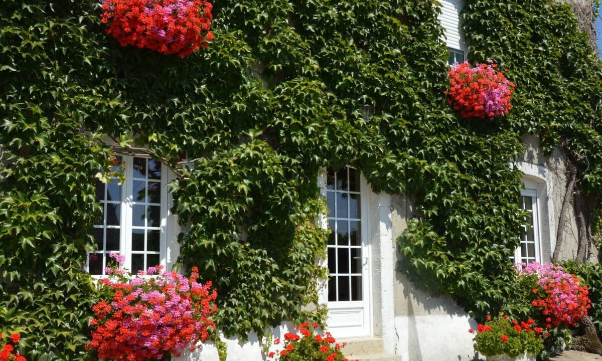 Doville Cottage | Comfortable house in the heart of the Norman bocage with garden and pets allowed