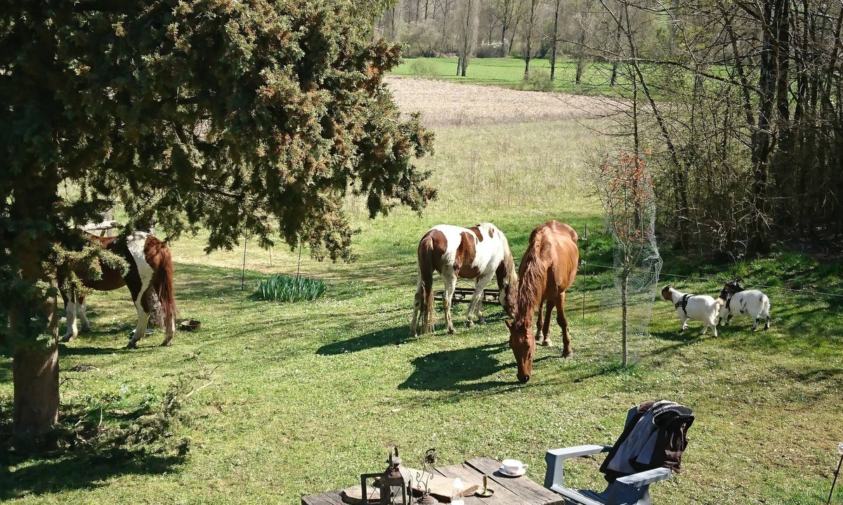 Serignac House | Comfortable Quiet House in the countryside Porte-du-Quercy for 8 people