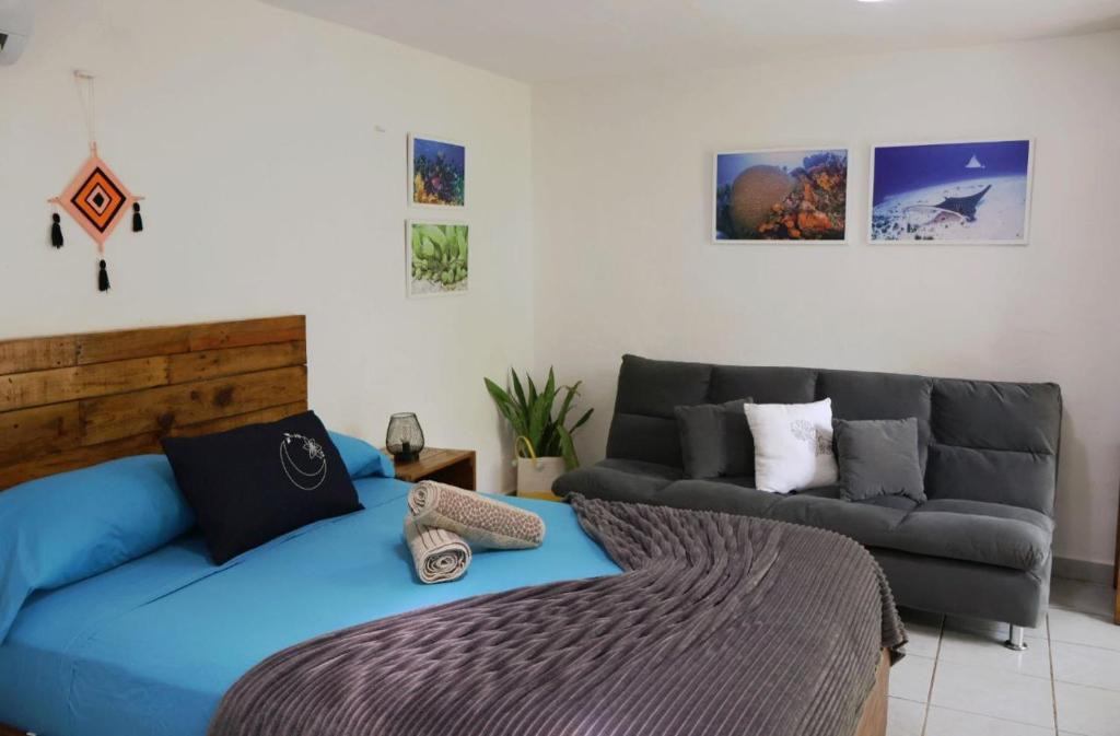 Colonia Centro Apartment | Comfy studio Yaxkin on downtown, 3 block away from sea and sunsets
