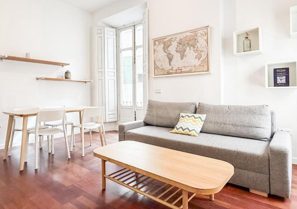 Centro Apartment | Compact & Central Apartment in Málaga REMS