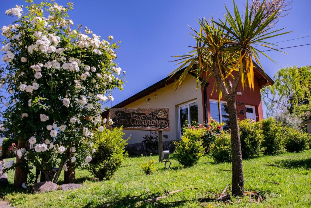 Sierra de la Ventana Cabin | Complejo Las Calandrias
