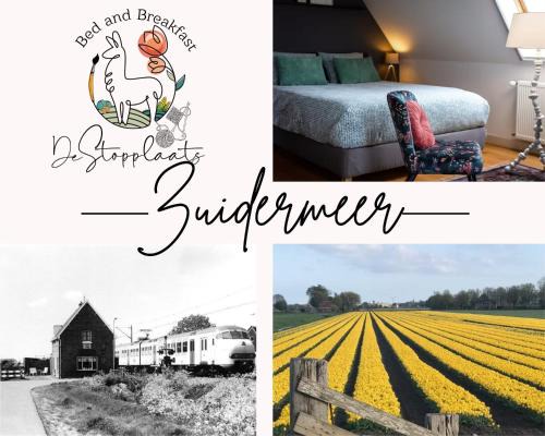 Zuidermeer Bed & Breakfast | Complete studio dichtbij Hoorn en Alkmaar