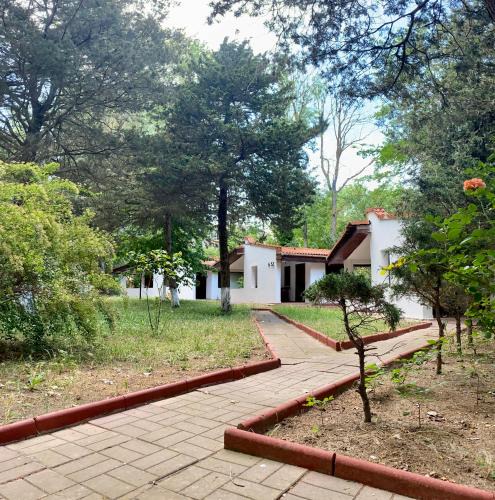 Neptun Resort | Complex Holiday Neptun