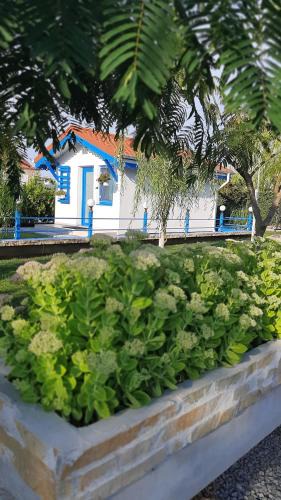 Murighiol House | Complex Turistic Essenza