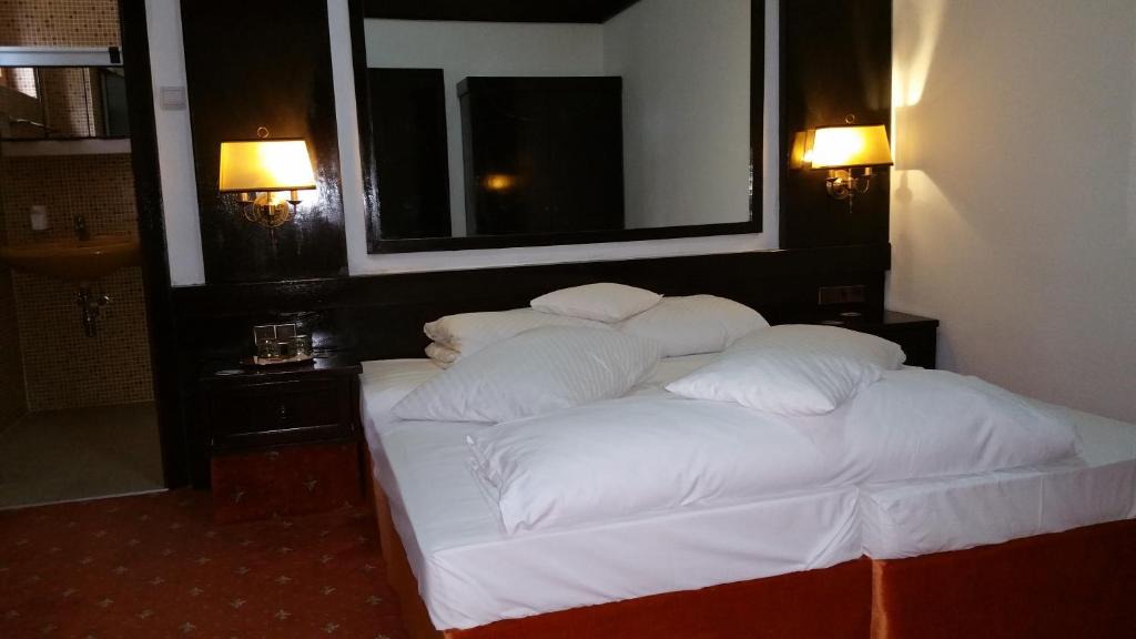 Balta Alba House | Conacul Balta Alba