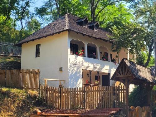 Braesti Villa | Conacul Copilăriei