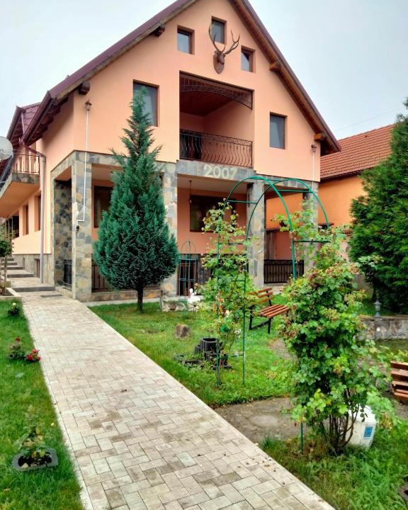Apata Villa | Conacul Mihaly