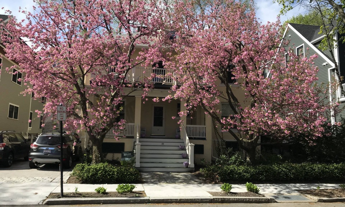 North Brookline House | Coolidge Corner, Brookline 4-bedroom, 2-bath