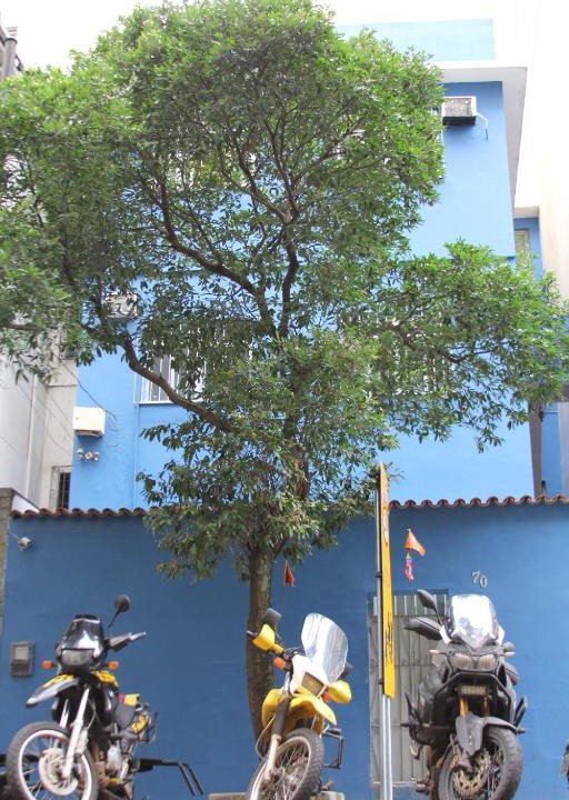 Copacabana Hostel | Copacabana Hostel
