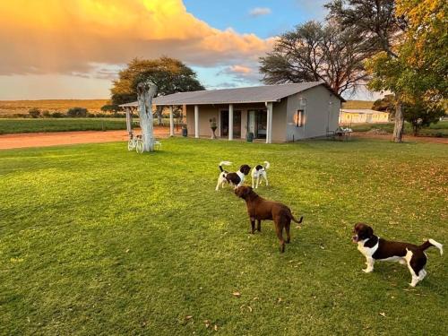 Gobabis Apartment | Copper Sands Accommodation