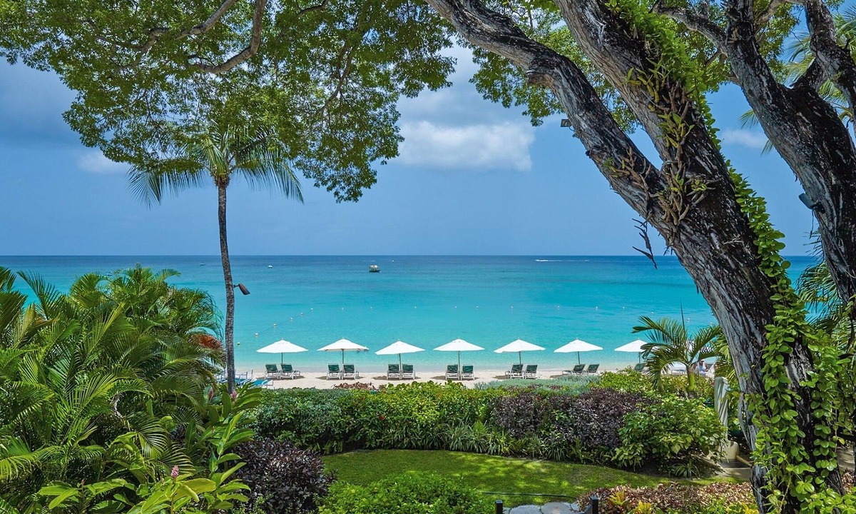 Old Trees Bay Apartment | Coral Cove 4