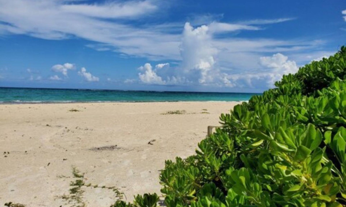 Silver Sands House | Coral Turtle