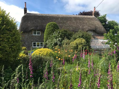 Cricket Malherbie Bed & Breakfast | Corner House