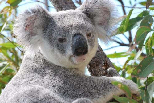 Nelly Bay Apartment | COST EFFECTIVE ISLAND ESCAPE! Studio Unit, Nelly Bay