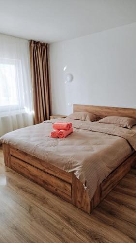 Fagaras Apartment | Cosy apart 3 Fagaras