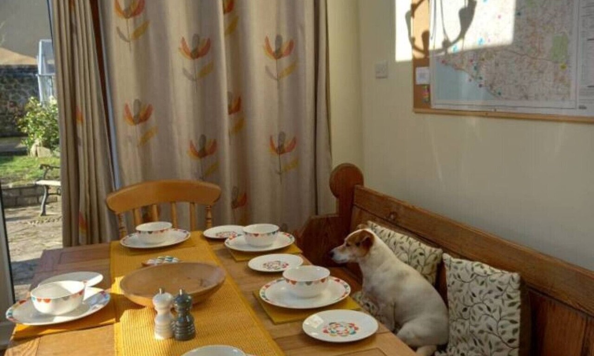 Melplash House | Cosy Cottage, dog friendly with secure private garden, 7 mins from Bridport.