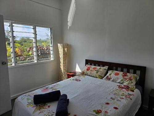 Cuvu Apartment | Cosy one bedroom self contained apartment