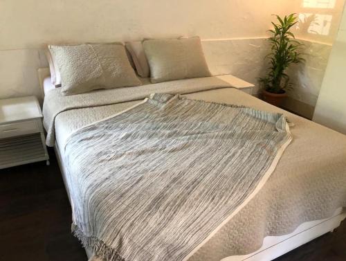 Vile Parle Apartment | Cosy studio at Delphi bungalow