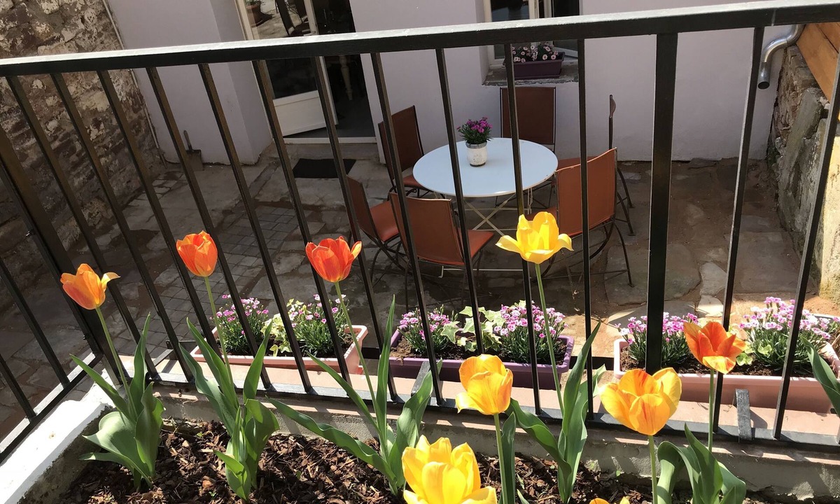 Westhoffen House | cottage in charming Alsatian village on the wine route