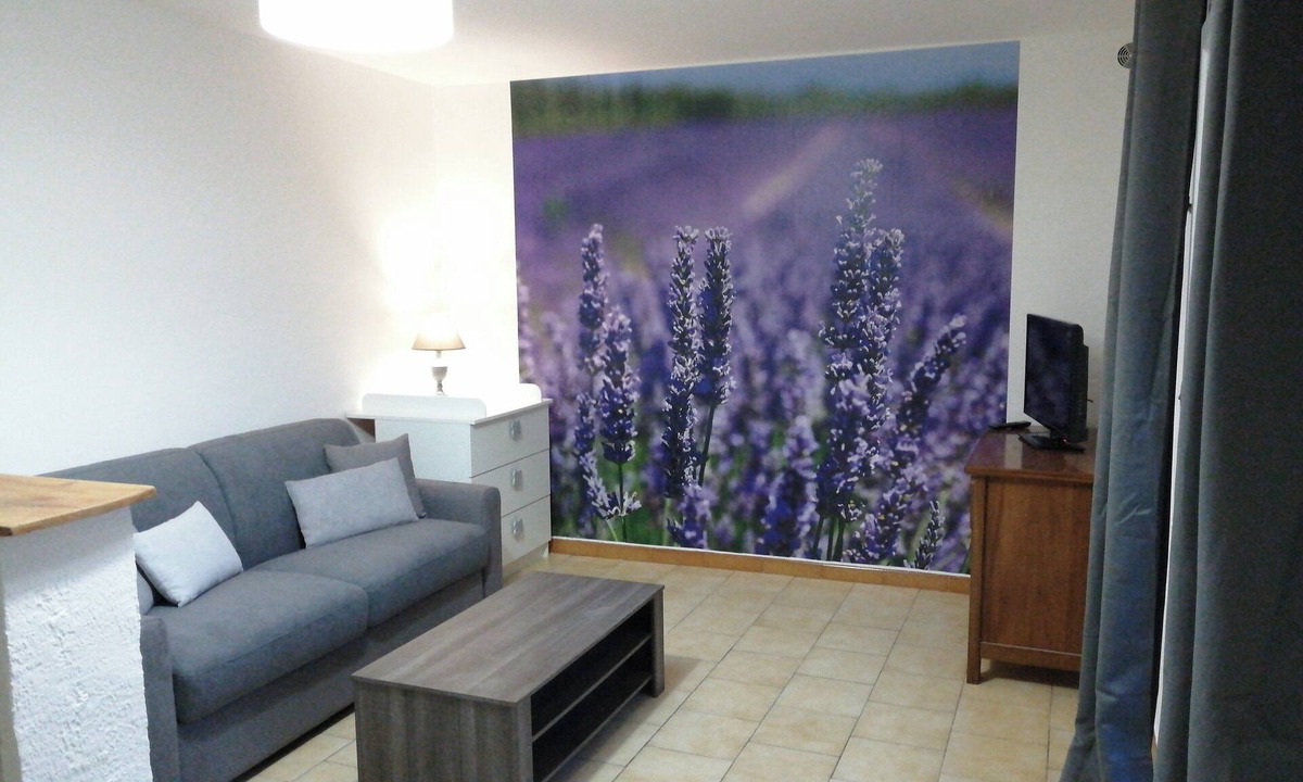 Pont-Saint-Esprit Apartment | Cottage LAVANDE on french vacation farm in Provence
