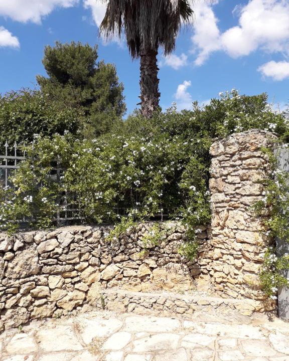Nardo House | Cottage nel verde