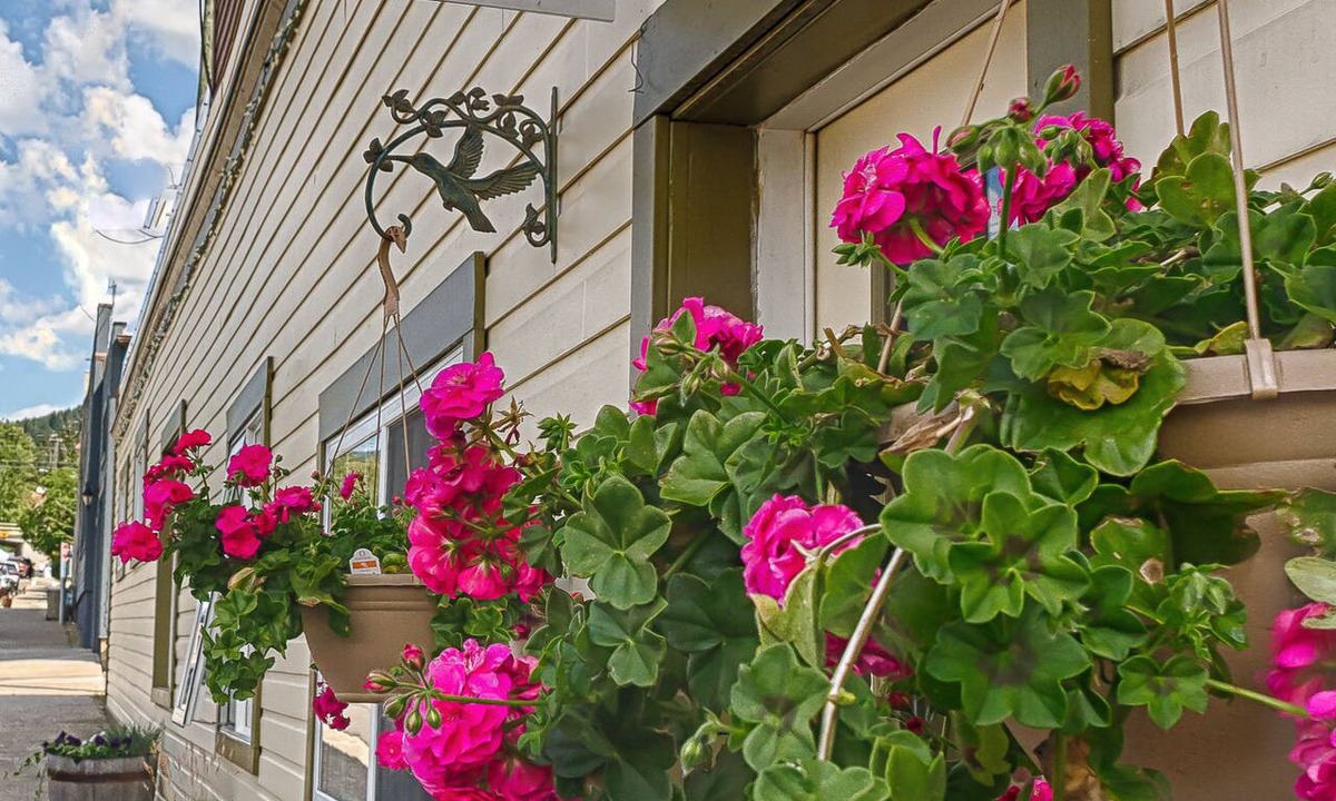 Coleman Bed & Breakfast | Country Encounters