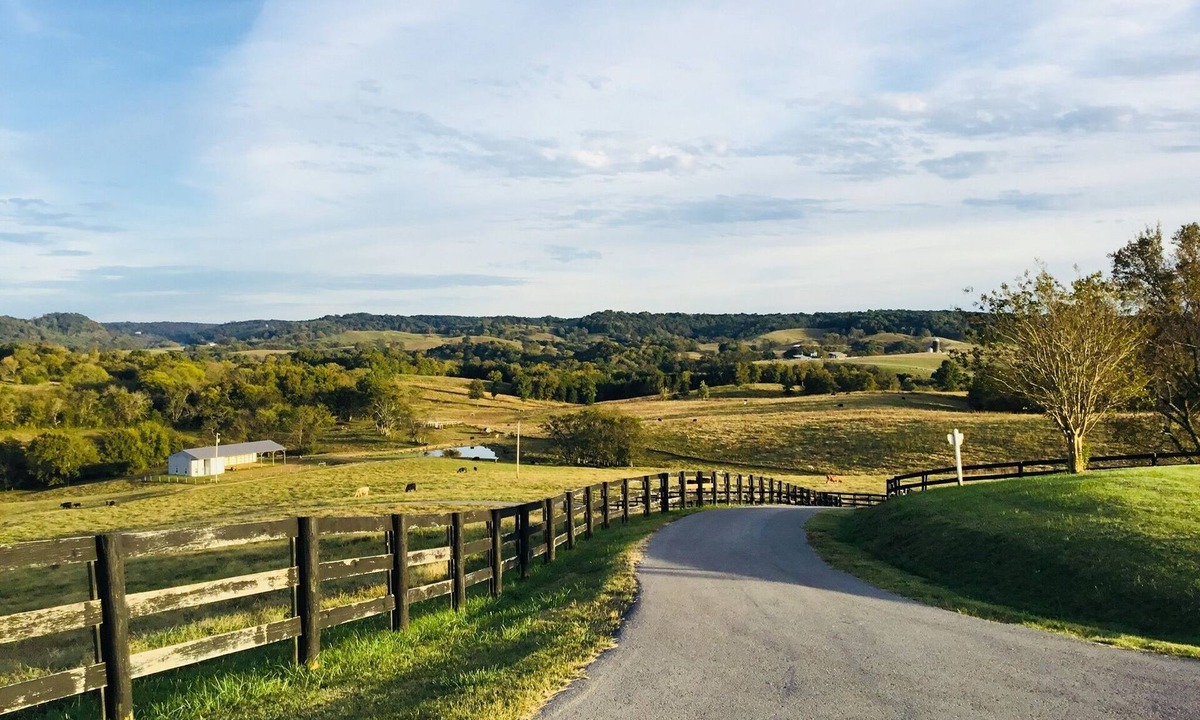 Wartrace House | Country setting with spectacular views