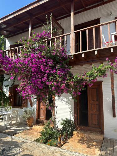 Kalkan Hotel | Courtyard Kalkan