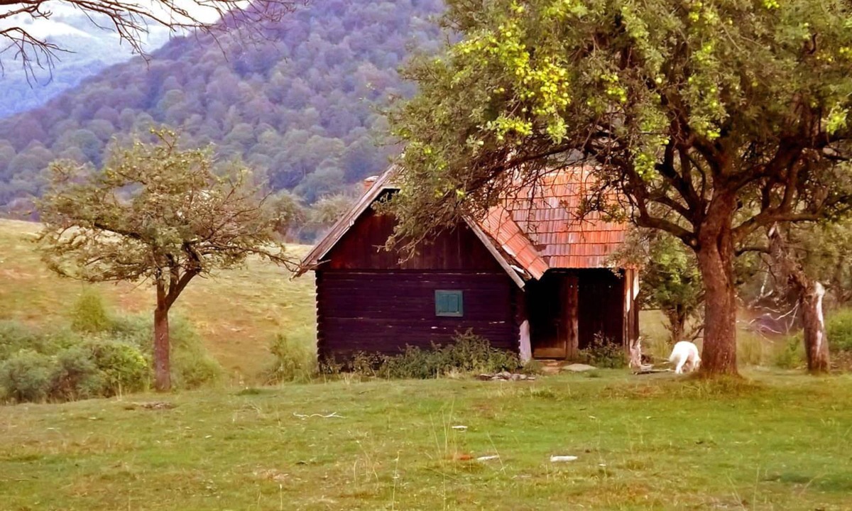 Saliste Cabin | COZO FANTU mountain hut in the Transylvanian Carpathian Mountains Romania