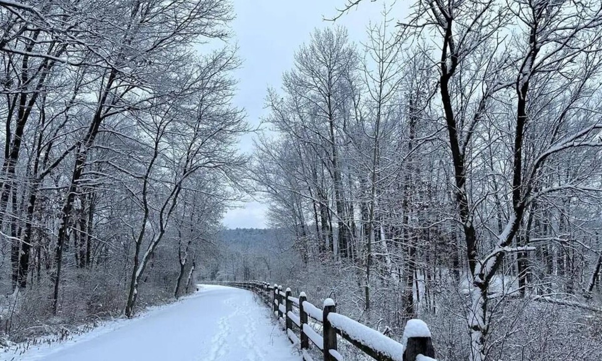 Antes Fort Apartment | Cozy apartment on the Susquehanna river and near Pine Creek Rails to Trails.