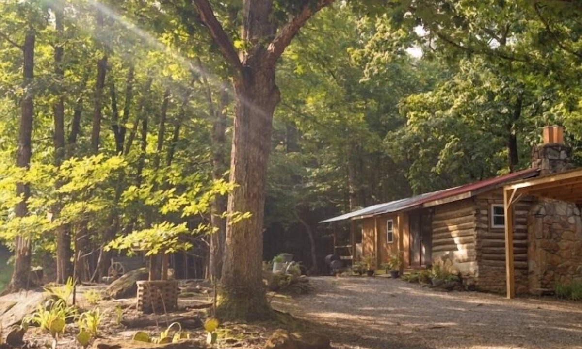 Hays Cabin | Cozy Cabin w/Hot-Tub In The Beautiful Mountains of North Carolina, Pet Friendly!