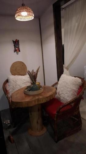 San Gerardo de Dota Apartment | Cozy Café Studio